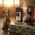 Xoloitzcuintli dog on Talavera tiles with pod machine, lemon and dark chocolate with Sunrise Spice Pods Mexico Coffee Pods