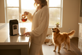Morning Tail-Wag Blend Kitchen Dog Lifestyle